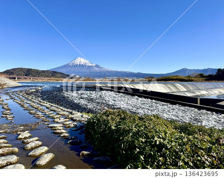 富士川と富士山 富士川と富士山 136423695
