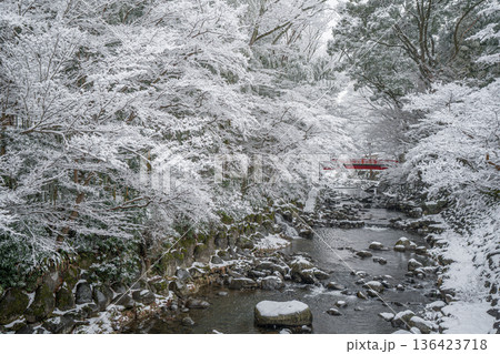 雪降る冬の修善寺 136423718