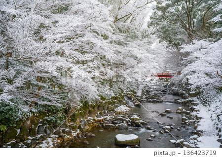 雪降る冬の修善寺 136423719