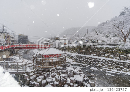 雪降る冬の修善寺 136423727