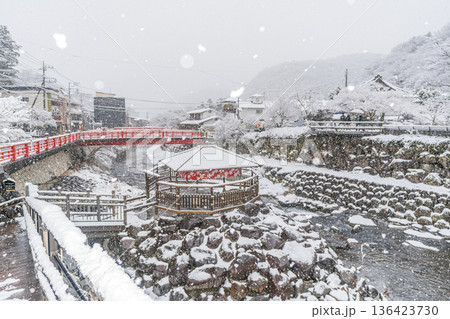 雪降る冬の修善寺 136423730