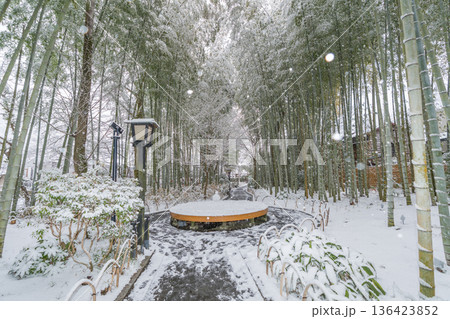 修善寺　竹林の小径　雪景色　（静岡県伊豆市） 136423852
