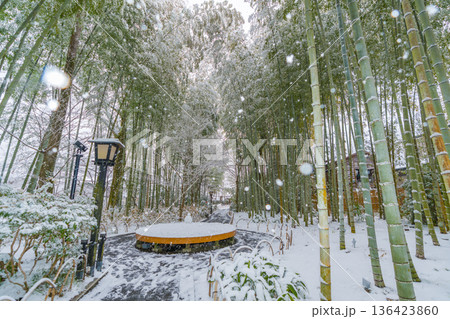 修善寺 竹林の小径 雪景色 (静岡県伊豆市) 修善寺 竹林の小径 雪景色 (静岡県伊豆市) 136423860
