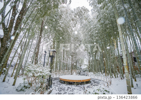 修善寺　竹林の小径　雪景色　（静岡県伊豆市） 136423866
