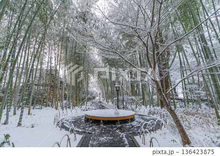 修善寺　竹林の小径　雪景色　（静岡県伊豆市） 136423875