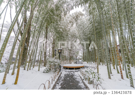 修善寺　竹林の小径　雪景色　（静岡県伊豆市） 136423878