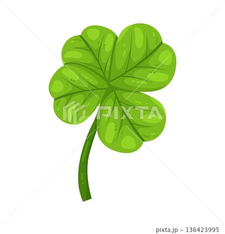 Illustration of clover leaf Illustration of clover leaf 136423995