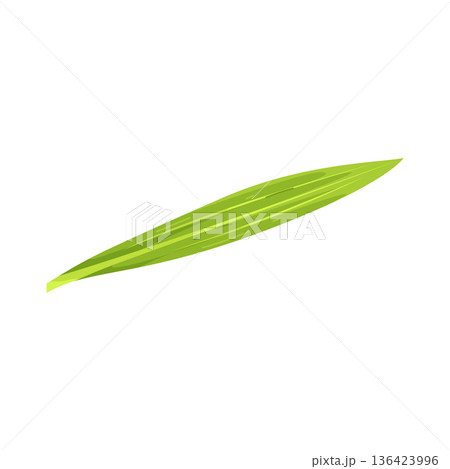 Illustration of bamboo leaf Illustration of bamboo leaf 136423996