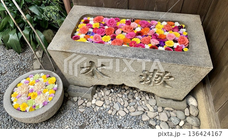 2月のカラフルな花手水(薔薇・菊・ガーベラ・パンジー・デンファレ)〈菅生神社/愛知県岡崎市〉 2月のカラフルな花手水(薔薇・菊・ガーベラ・パンジー・デンファレ)〈菅生神社/愛知県岡崎市〉 136424167