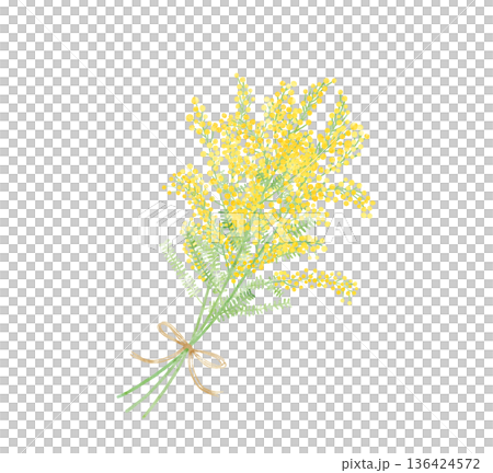 含羞草花束水彩插畫－國際婦女節春季禮物 136424572