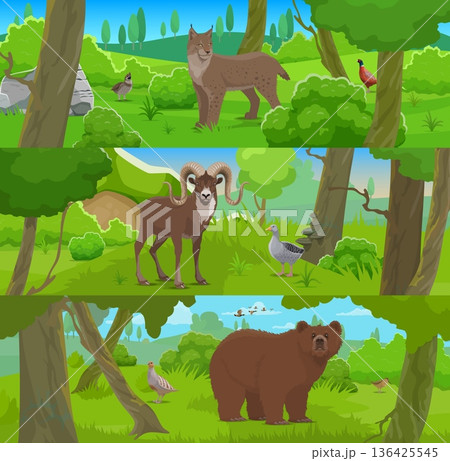 Cartoon wild animals and birds, hunting sport. Wildlife forest scene collection featuring wild animals in natural habitat. Cartoon lynx, mountain sheep with horns and brown bear 136425545