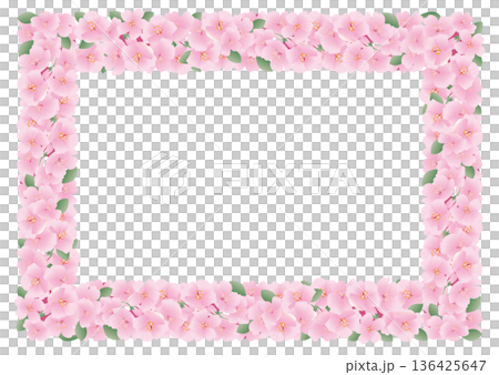 春櫻花花瓣框架 136425647