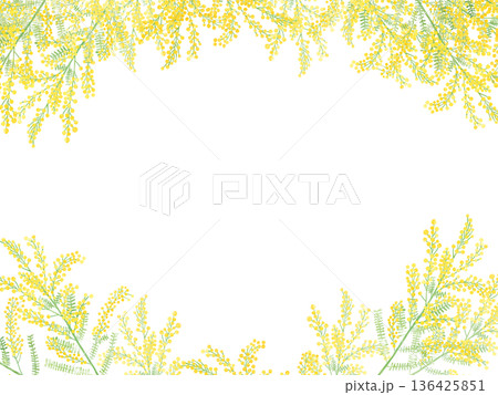 ミモザの水彩フレーム 上下配置の中央コピースペース 春のイラスト ミモザの水彩フレーム 上下配置の中央コピースペース 春のイラスト 136425851