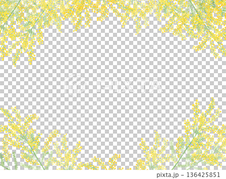 ミモザの水彩フレーム 上下配置の中央コピースペース 春のイラスト ミモザの水彩フレーム 上下配置の中央コピースペース 春のイラスト 136425851