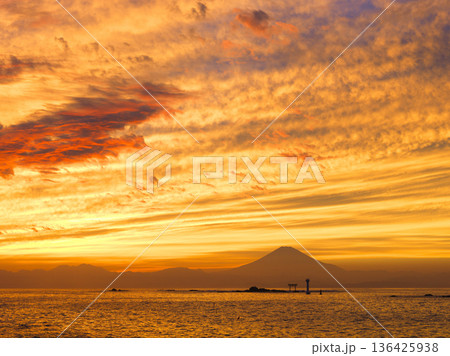 夕暮れの真名瀬海岸より富士山を望む　神奈川県葉山町 136425938