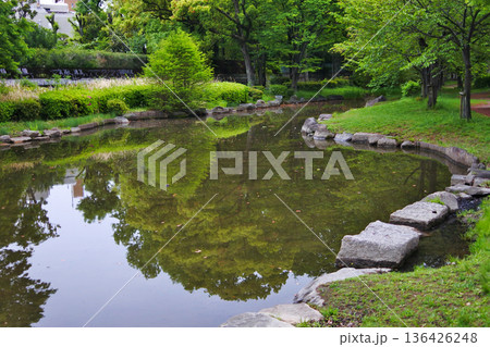 大阪市の河川公園の自然豊かな情景 136426248