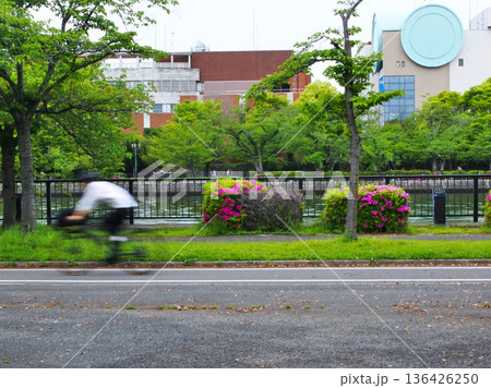 大阪市の河川公園の自然豊かな情景 136426250