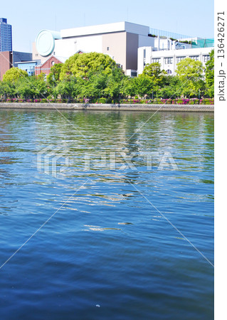大阪市の河川公園から見た橋のある情景 大阪市の河川公園から見た橋のある情景 136426271