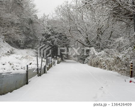 雪が積もる峠道の風景 136426409