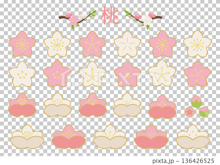 Peach blossom icon set in pink and white Peach blossom icon set in pink and white 136426525