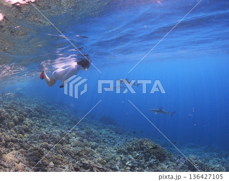 タヒチ・ファカラバの海でシュノーケリングを楽しむ女性｜南国リゾートの水中風景 136427105