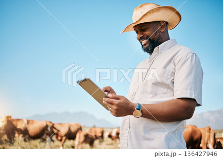 Happy black man, tablet and animals in agriculture, farming or sustainability in the countryside. African male person smile on technology with live stock, cows or cattle for small business or produce Happy black man, tablet and animals in agriculture, farming or sustainability in the countryside. African male person smile on technology with live stock, cows or cattle for small business or produce 136427946