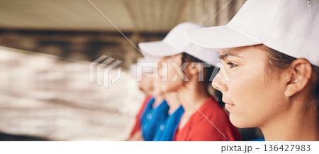 Watching, team together and women for baseball, sports and sitting for a game or contest. Serious, collaboration and a group of athlete people waiting for a match to start or looking at training 136427983