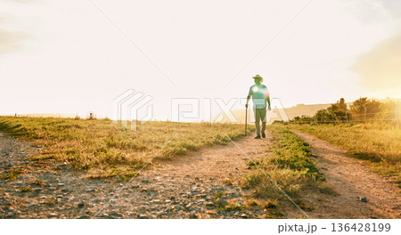 Sun flare, farm and man with agriculture, countryside and walking with grass field, nature and fresh air. Person, farmer and guy with growth, industry and landscape with sustainability or environment 136428199