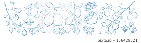 Lemon branches with citrus fruit, flowers, leaves 136428321