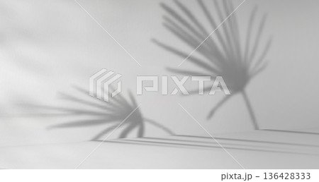 Monstera leaves shadow on white wall Monstera leaves shadow on white wall 136428333
