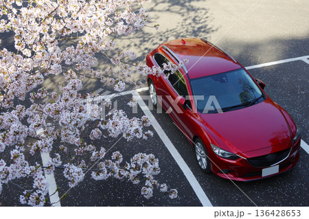 ドライブイメージ　桜 136428653