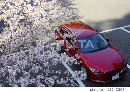 ドライブイメージ　桜 136428654