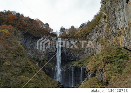 [定額] 紅葉の華厳の滝 ( 栃木県 日光市 ) 136428738