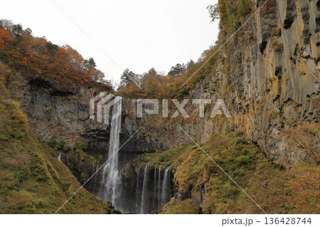 [定額] 紅葉の華厳の滝 ( 栃木県 日光市 ) 136428744