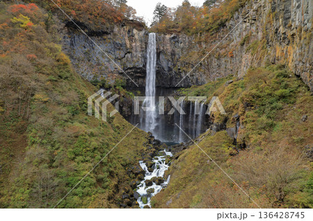 [定額] 紅葉の華厳の滝 ( 栃木県 日光市 ) 136428745