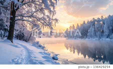 A beautiful winter landscape features a frozen forest of fir trees under a colorful sunrise and sunset sky over snowy mountain peaks 136429254