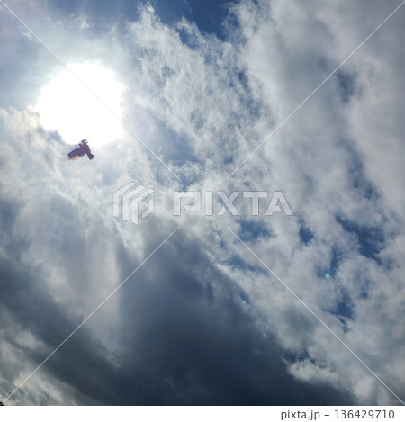 太陽と鳥と雲 136429710