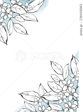 Minimalist floral corner frame with blue watercolor splashes Minimalist floral corner frame with blue watercolor splashes 136430063