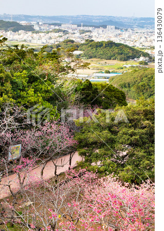八重瀬公園からの風景 136430079
