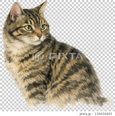 Antique-style cat illustrations - Vintage animal material Antique-style cat illustrations - Vintage animal material 136430405