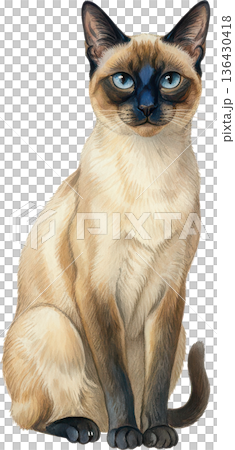 復古風格貓咪插畫 - 復古動物素材 136430418