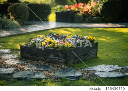 Colorful pansy flowers in wooden planter box with morning dew and bokeh background Colorful pansy flowers in wooden planter box with morning dew and bokeh background 136430550