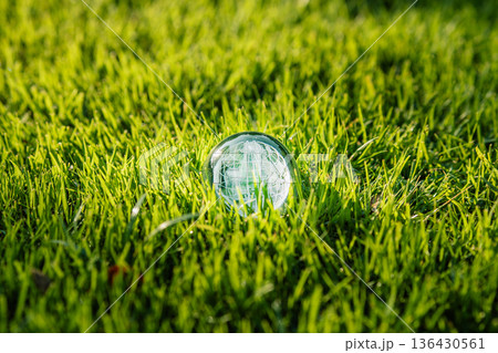 Crystal globe on green grass Concept of environmental sustainability Crystal globe on green grass Concept of environmental sustainability 136430561