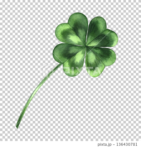 Four-leaf clover. Hand-drawn watercolor illustration. Symbol of good luck and success. For logos and prints, greeting cards, banners and flyers, packaging, invitations, holiday decor, and more. 136430781