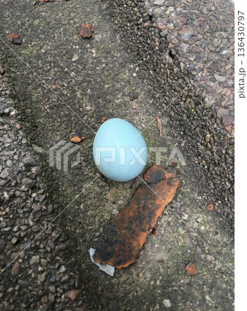 egg 01 egg 01 136430797