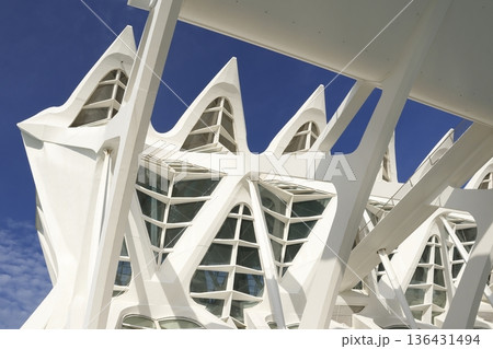 Prince Felipe Science Museum. 136431494