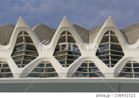 Prince Felipe Science Museum. Prince Felipe Science Museum. 136431521