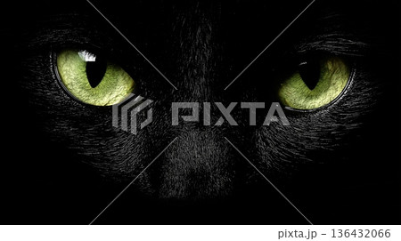 Black cat glowing green eyes staring from darkness. Black cat eyes glowing green from darkness, symbolizing mystery and vigilance Black cat glowing green eyes staring from darkness. Black cat eyes glowing green from darkness, symbolizing mystery and vigilance 136432066