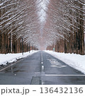 滋賀 メタセコイア並木の雪景色 136432136