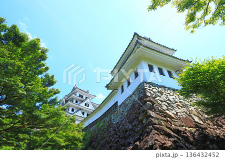 岐阜県郡上市、郡上八幡城の風景 136432452
